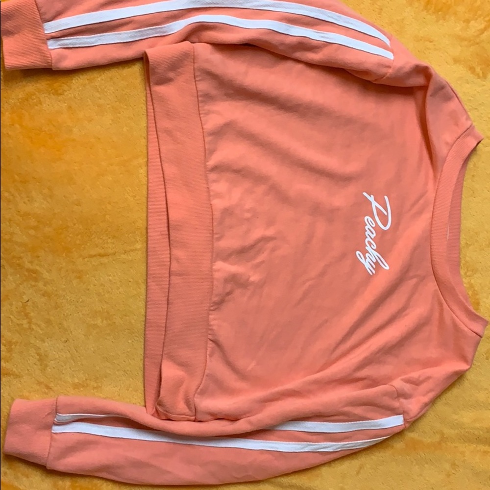 Peachy Long Sleeve Crop Top